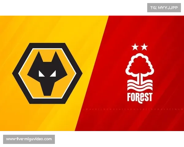 诺丁汉森林零比零战平狼队 暂时脱离降级区